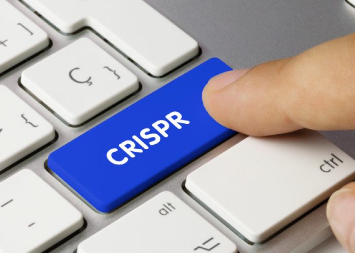 La IA puede ayudar al desarrollo de nuevas herramientas CRISPR.