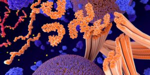 La acumulación de agregados de proteína tau que caracteriza a la enfermedad de alzheimer puede utilizarse como uno de los biomarcadores de la enfermedad.