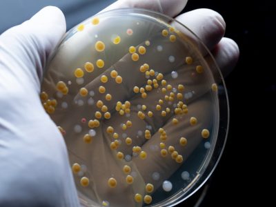 La biología sintética es la ciencia que se encarga del diseño de sistemas biológicos