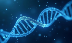 El síndrome de Sotos se debe a alteraciones en el gen NSD1. Imagen: Adobe Express.