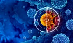 El reloj molecular regula los ritmos fisiológicos e influye en el riesgo de cáncer.