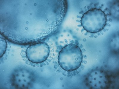 La exposición al VIH en el útero deja huella inmunológica en los niños incluso si no están infectados.