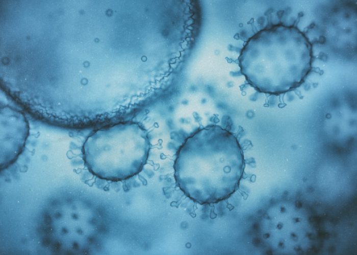 La exposición al VIH en el útero deja huella inmunológica en los niños incluso si no están infectados.