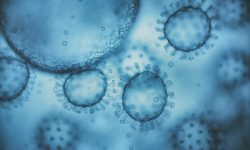 La forma de evolucionar del virus SARS-Cov2, responsable de COVID-19 ha cambiado desde el inicio de la pandemia