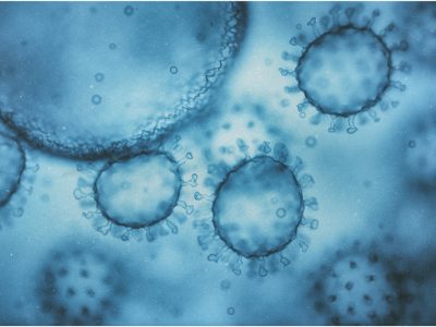 La forma de evolucionar del virus SARS-Cov2, responsable de COVID-19 ha cambiado desde el inicio de la pandemia