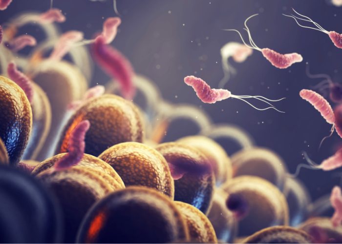 La genómica permite predecir la resistencia a antibióticos de Helicobacter pylori,una bacteria estomacal que puede causar gastritis y aumenta el riesgo de cáncer