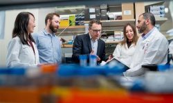 La herramienta de IA M-PACT permite clasificar los tumores pediátricos a partir de pequeñas cantidades de ADN obtenidas en biopsia líquida