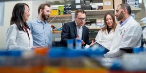 La herramienta de IA M-PACT permite clasificar los tumores pediátricos a partir de pequeñas cantidades de ADN obtenidas en biopsia líquida