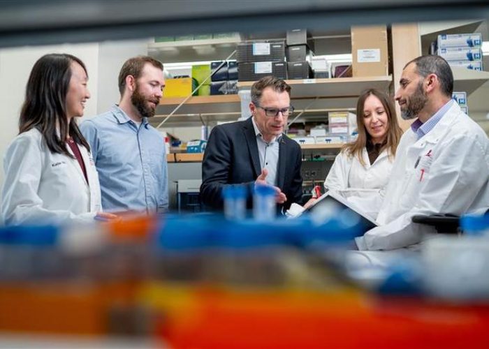 La herramienta de IA M-PACT permite clasificar los tumores pediátricos a partir de pequeñas cantidades de ADN obtenidas en biopsia líquida