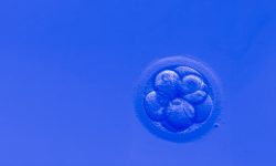 La master class de medicina reproductiva abordará un caso clínico de genética