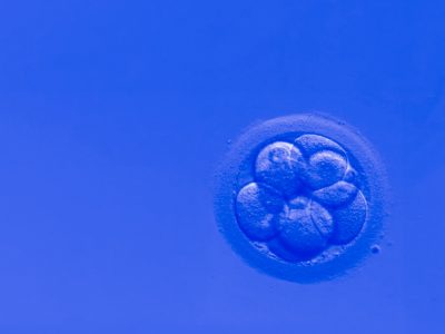 La master class de medicina reproductiva abordará un caso clínico de genética