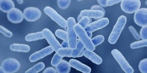 Los investigadores han estudiado cómo conectan la microbiota intestinal y la actividad cerebral en personas sanas. Imagen: Adobe Express.