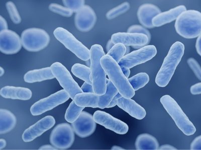 Los investigadores han estudiado cómo conectan la microbiota intestinal y la actividad cerebral en personas sanas. Imagen: Adobe Express.