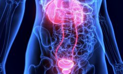 La poliquistosis renal autosómica recesiva (ARPKD) es una enfermedad cuya característica principal es la formación de quistes en los riñones. Imagen: Adobe Express