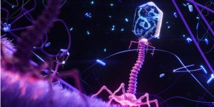 La posibilidad de crear fagos sintéticos desde cero con herramientas deinteligencia artificial abre interesantes vías terapéuticas