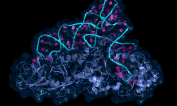 La tecnología PERT se basa en la optimización de un ARNt supresor. Imagen: Adobe Express.