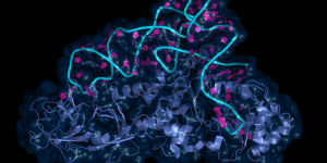 La tecnología PERT se basa en la optimización de un ARNt supresor. Imagen: Adobe Express.