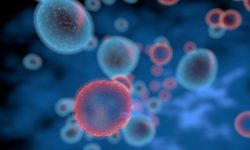 La terapia génica para la inmunodeficiencia combinada en niños tiene éxito a largo plazo