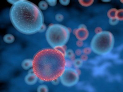 La terapia génica para la inmunodeficiencia combinada en niños tiene éxito a largo plazo