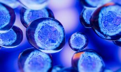 Las biopsias líquidas permiten analizar células tumorales circulantes o ADN tumoral libre en diferentes fluidos, como la orina, en el caso del cáncer de vejiga.