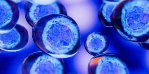 Las biopsias líquidas permiten analizar células tumorales circulantes o ADN tumoral libre en diferentes fluidos, como la orina, en el caso del cáncer de vejiga.