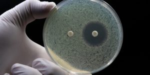 Las herramientas basadas en IA pueden ayudar en la lucha frente a las bacterias resistentes a antibióticos.