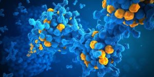 Las proteínas desordenadas intervienen en diferentes enfermedades.