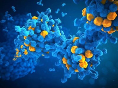Las proteínas desordenadas intervienen en diferentes enfermedades.