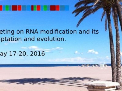 Logo_SMBE2016_Valencia