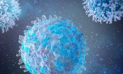 Un estudio conecta la plasticidad de los linfocitos B con el desarrollo de linfoma. Imagen: Adobe Express.