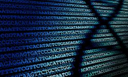 Los mapas genéticos humanos están sesgados hacia algunas poblaciones.