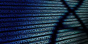 Los mapas genéticos humanos están sesgados hacia algunas poblaciones.