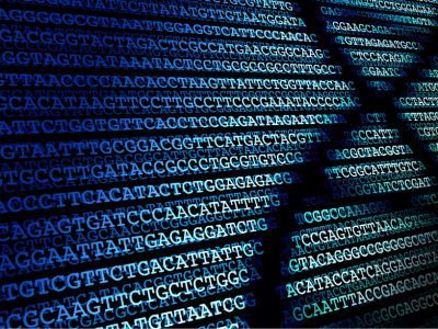 Los mapas genéticos humanos están sesgados hacia algunas poblaciones.