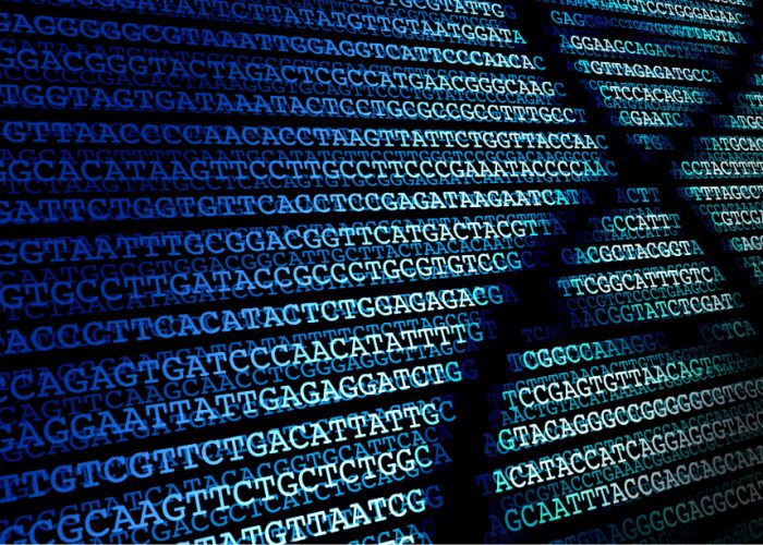 Los mapas genéticos humanos están sesgados hacia algunas poblaciones.