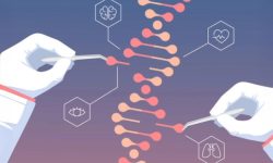 Los primeros resultados de Edición Genética Prime en humanos muestran resultados prometedores.