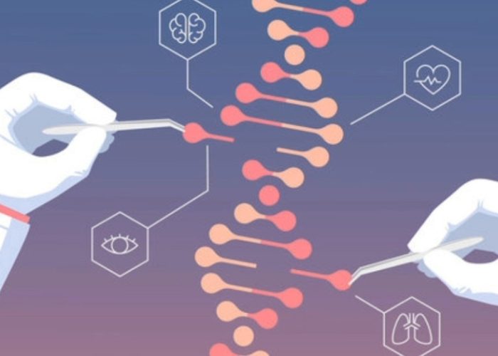 Los primeros resultados de Edición Genética Prime en humanos muestran resultados prometedores.