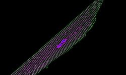 Imagen que muestra una célula muscular cardíaca de un ratón tratado con la nueva terapia génica. En magenta se muestran los nuevos canales iónicos de sodio sintetizados después de la introducción de los genes bacterianos modificados. Imagen: Tianyu Wu, Duke University