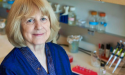 La genetista estadounidense Mary-Claire King ha sido galardonada con el Premio Princesa de Investigación Científica y Técnica por su contribución en diferentes avances en genética humana.