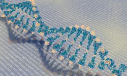 La secuencia de ADN constituye las instrucciones de nuestro organismo. El epigenoma permite interpretarlas. Imagen: Mehmet Pinarci.