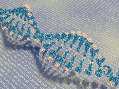 La secuencia de ADN constituye las instrucciones de nuestro organismo. El epigenoma permite interpretarlas. Imagen: Mehmet Pinarci.