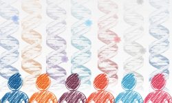 Las mutaciones pueden ocurrir en cualquier célula del organismo a lo largo de la vida en los seres humanos.