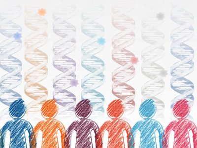 Las mutaciones pueden ocurrir en cualquier célula del organismo a lo largo de la vida en los seres humanos.