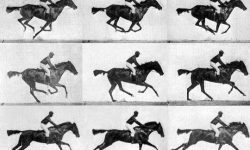 Muybridge_race_horse_gallop