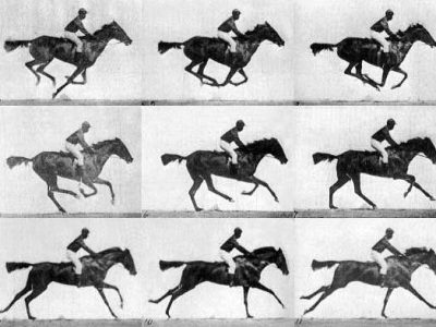 Muybridge_race_horse_gallop