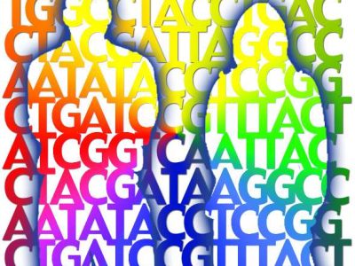 Variantes genéticas surgidas en la especie humana durante su evolución podrían ayudar a proteger a los mayores de la demenciaImagen: Jade Ades (National Human Genome Research Institute, EEUU).