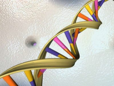 ADN. Imagen: National Human Genome Research Institute
