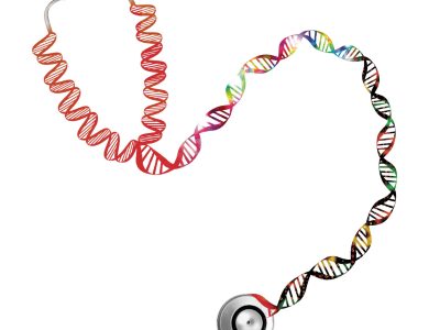 Imagen: Jane Ades (National Human Genome Research Institute, EEUU)