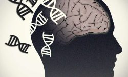 Imagen: Jonathan Bailey, NHGRI (National Human Genome Research Institute)