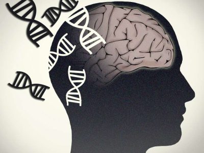Imagen: Jonathan Bailey, NHGRI (National Human Genome Research Institute)