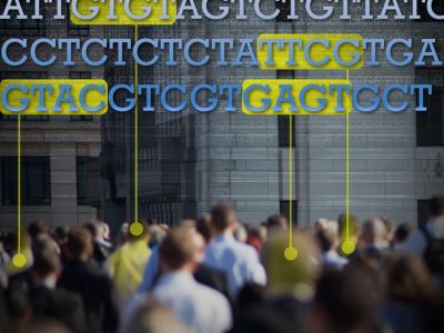 Los resultados del trabajo proporcionan información sobre por qué algunas personas pueden ser más susceptibles o estar más protegidas frente a la hipertrofia cardiaca en función de su composición genética.  Imagen